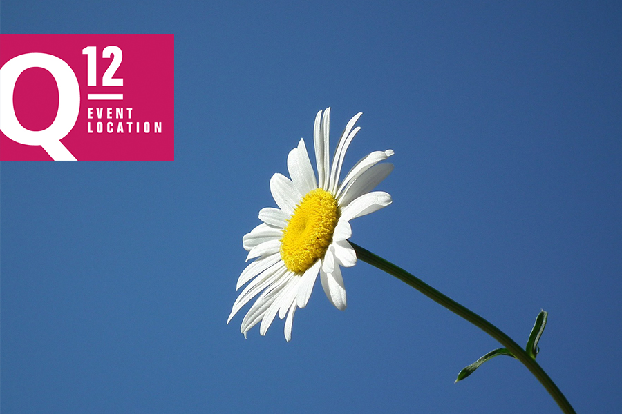 Tanz in den Mai
© Free-Photos | Pixabay Tanz in den Mai